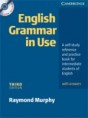 English Grammar in Use (Raymond Murphy)
